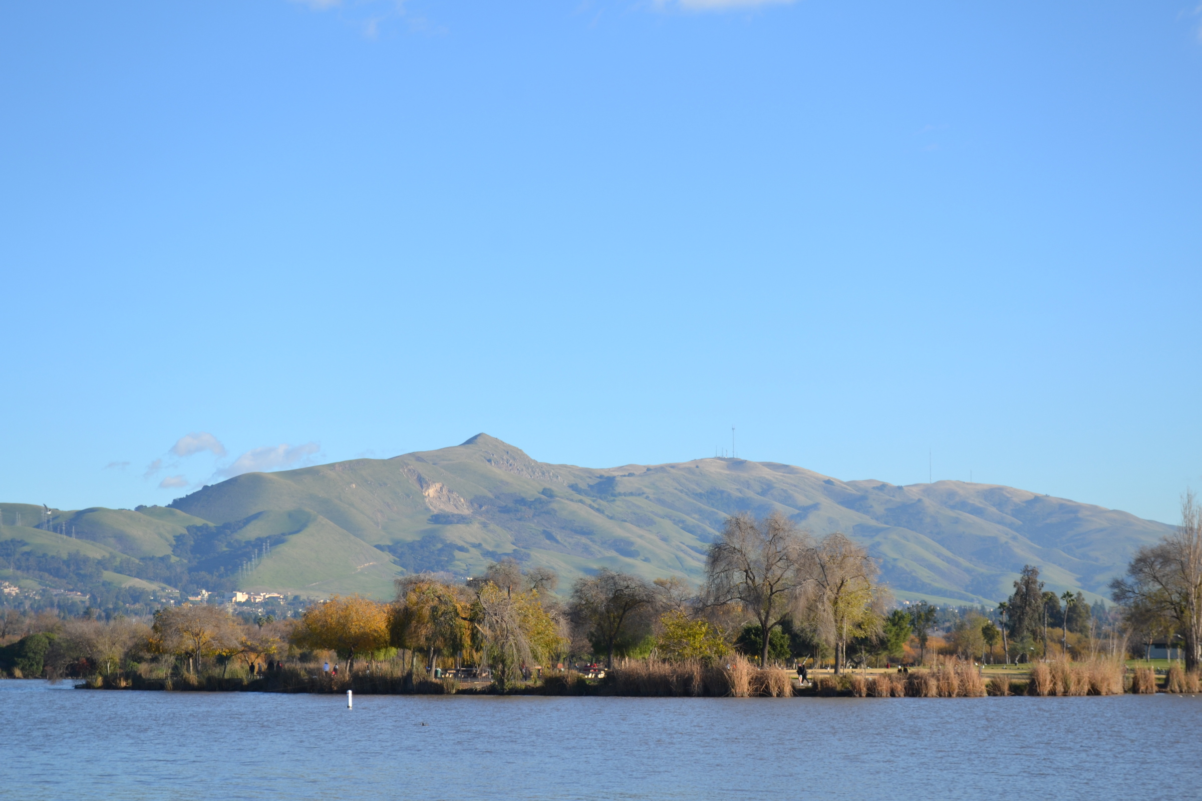 Fremont housing guide